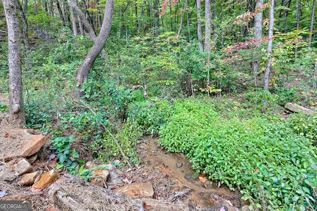 673 Autumn Ridge Drive, Clayton, GA 30525