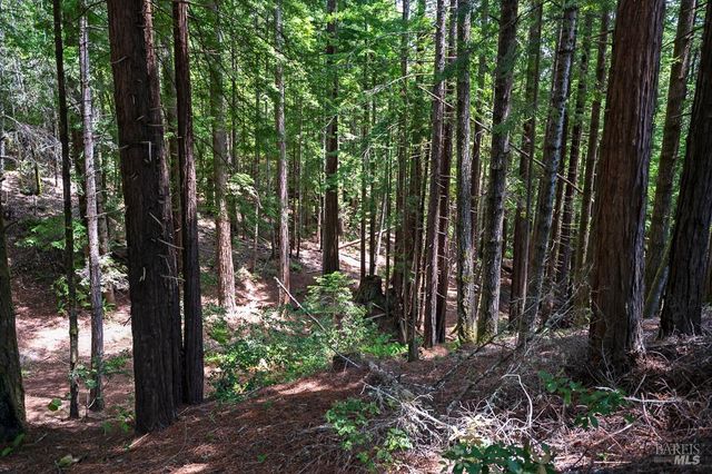 37275 Glennen Dr, Gualala, CA 95445