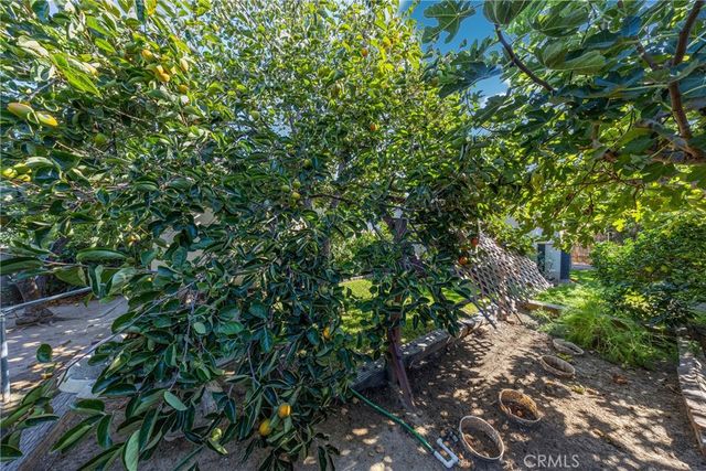 2640 David, La Habra, CA 90631