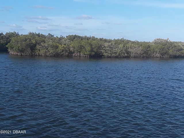 1204 Harbour Point Drive, Port Orange, FL 32127