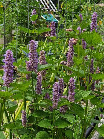 68 White Rock Hill Road, Bow, NH 03304