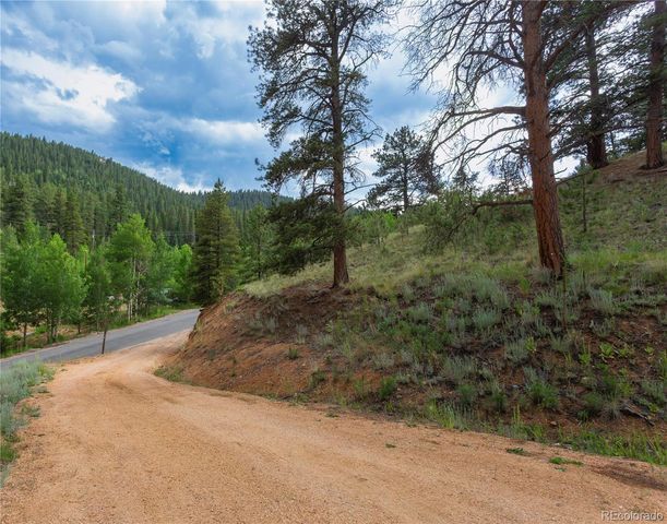 1555 Shelton Drive, Bailey, CO 80421