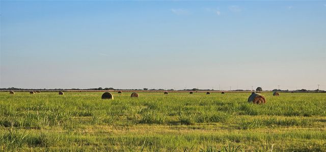 000 Farrar Road, Palmer, TX 75152