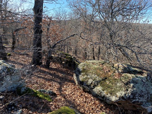 401 Mountain View Court, Sunset, TX 76270