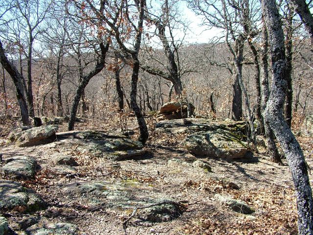 401 Mountain View Court, Sunset, TX 76270