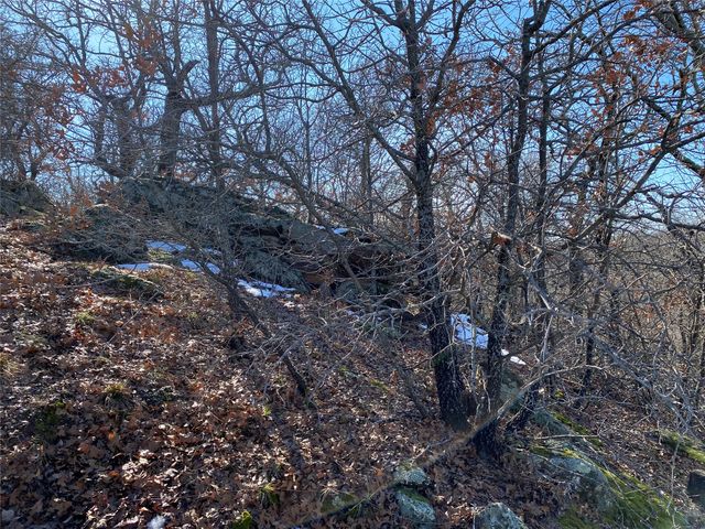 401 Mountain View Court, Sunset, TX 76270