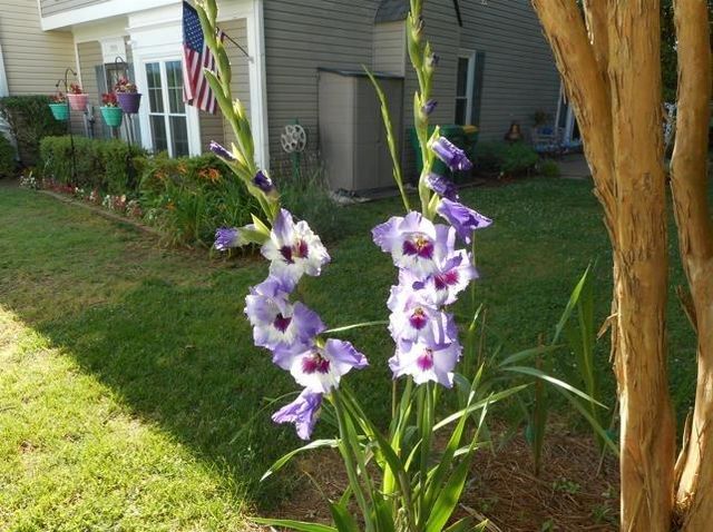 3555 MONTICELLO, Peachtree Corners, GA 30092