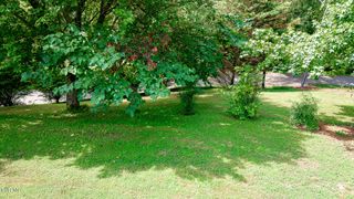 0 Laurel Street, Weber City, VA 24290
