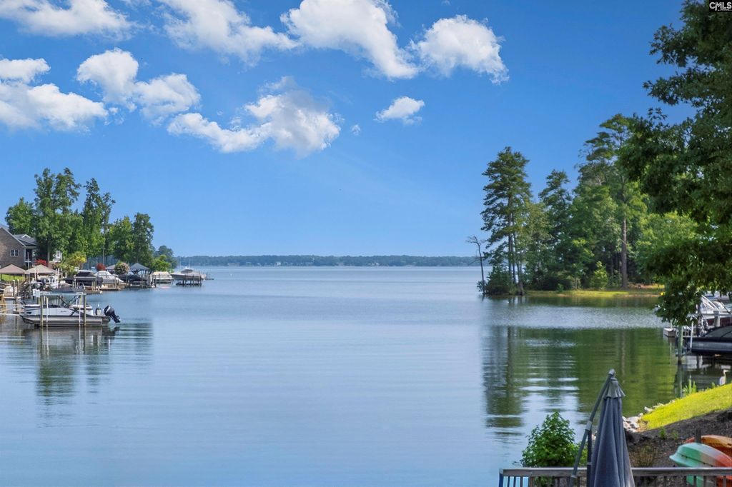 105 Palmetto Cove Lane, Lexington, SC 29072