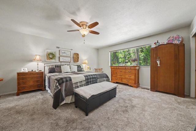 17614 Stella Ct, Pioneer, CA 95666