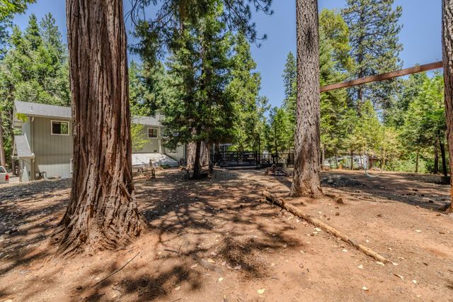 17614 Stella Ct, Pioneer, CA 95666