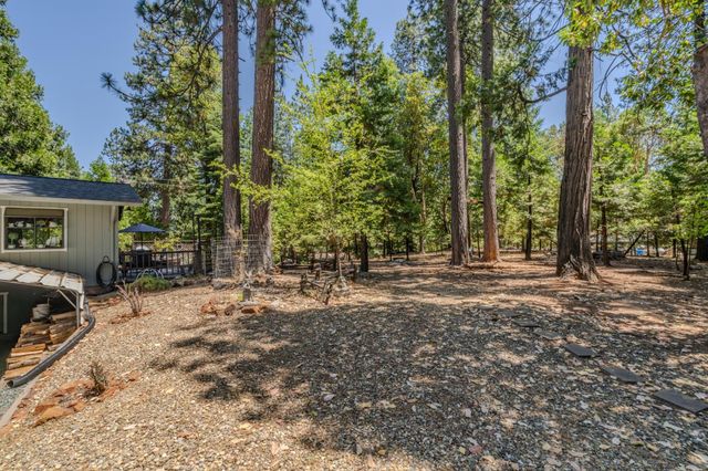17614 Stella Ct, Pioneer, CA 95666