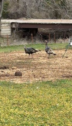 12730 NE 120th, Elgin, OK 73538