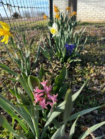 12730 NE 120th, Elgin, OK 73538