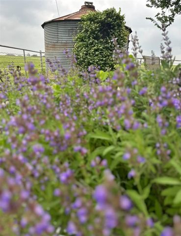 12730 NE 120th, Elgin, OK 73538