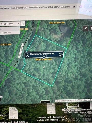 FR16 opossum Path FR 16, Brevard, NC 28712