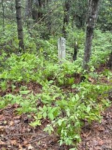 FR16 opossum Path FR 16, Brevard, NC 28712