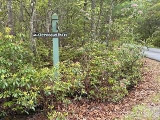 FR16 opossum Path FR 16, Brevard, NC 28712