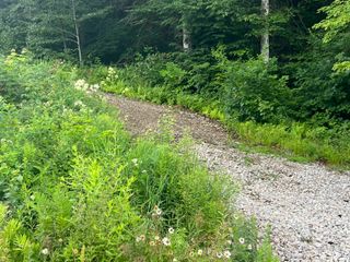 Juniper Hill Road, Stoddard, NH 03464