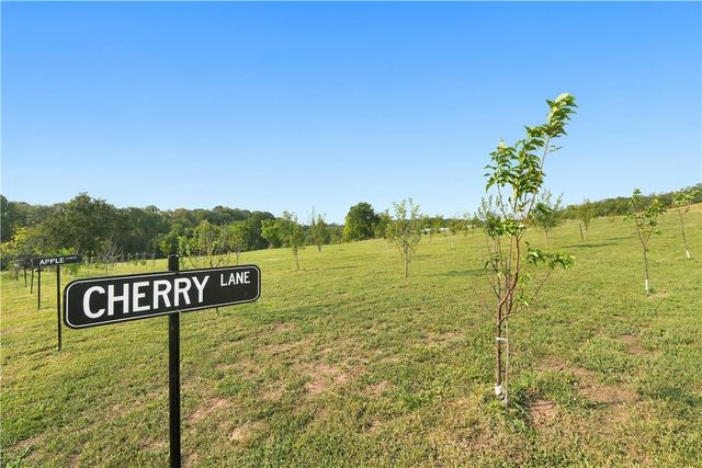 8800 Fred Austin Road, Decatur, AR 72722