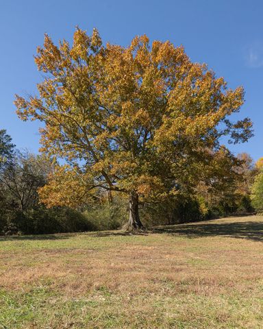 501 Tallent Road, Pulaski, TN 38478