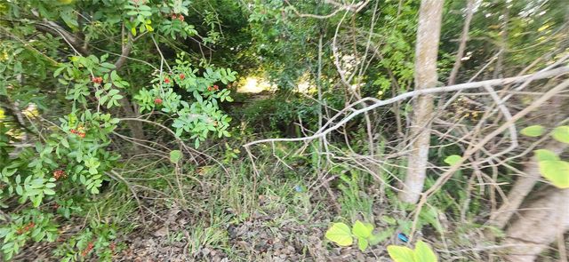 1365 OVERLEA STREET, Clearwater, FL 33755