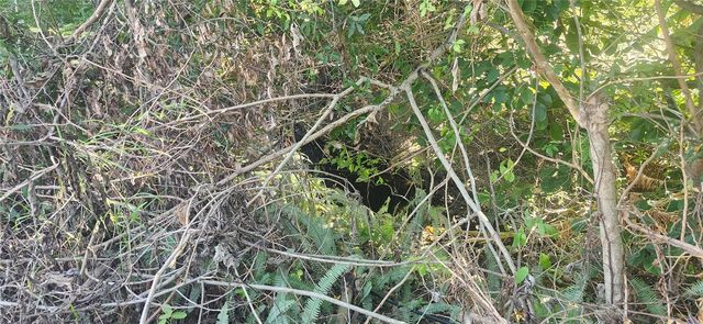 1365 OVERLEA STREET, Clearwater, FL 33755