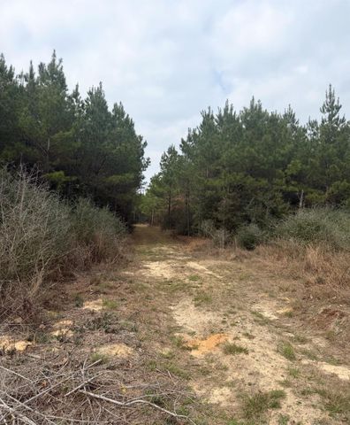 10489 Us Highway 190 E, Livingston, TX 77351