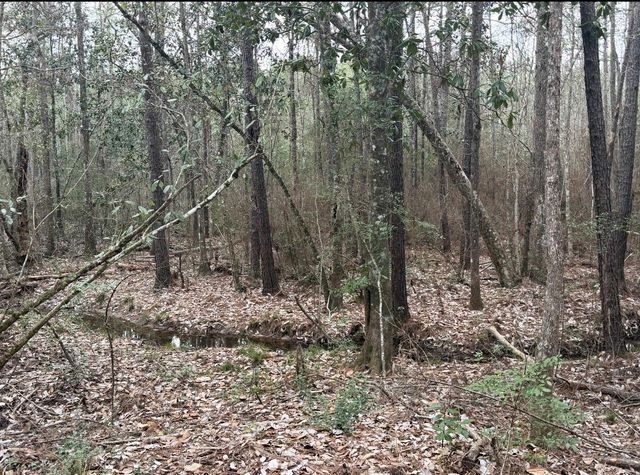 10489 Us Highway 190 E, Livingston, TX 77351