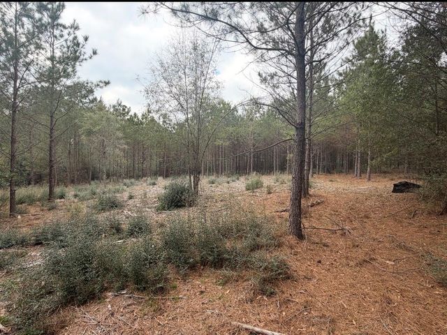 10489 Us Highway 190 E, Livingston, TX 77351