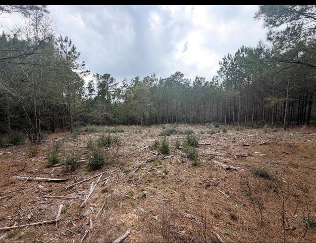 10489 Us Highway 190 E, Livingston, TX 77351