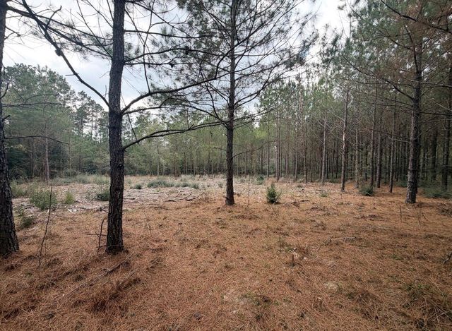 10489 Us Highway 190 E, Livingston, TX 77351