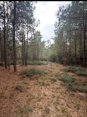 10489 Us Highway 190 E, Livingston, TX 77351