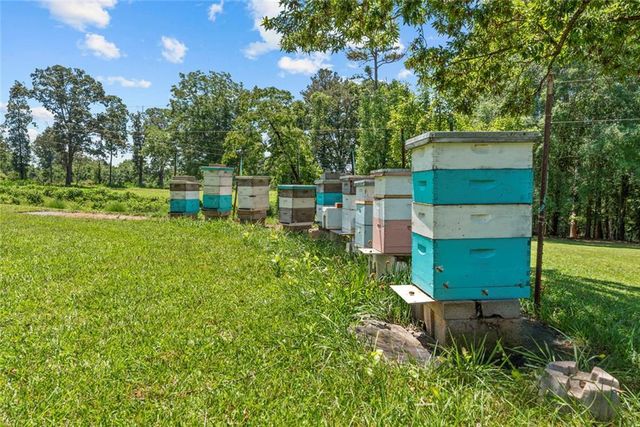 195 Sims Farm Way, Maysville, GA 30558