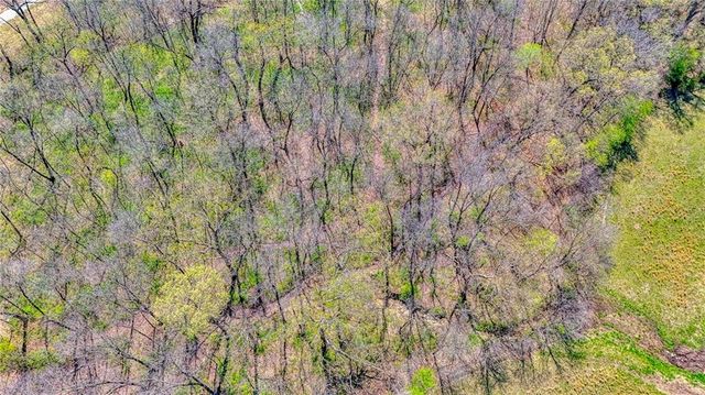 450 SW 725 Road, Chilhowee, MO 64733