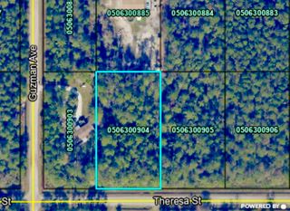 4260 Theresa St, Hastings, FL 32145