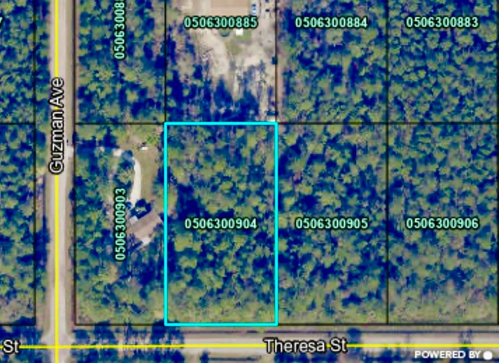 4260 Theresa St, Hastings, FL 32145