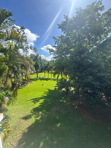 Lot-1 ESTANCIAS DE BEATRIZ DEV., BEATRIZ WARD, Cayey, PR 00736