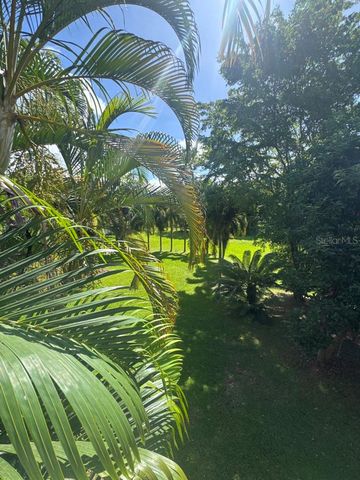 Lot-1 ESTANCIAS DE BEATRIZ DEV., BEATRIZ WARD, Cayey, PR 00736