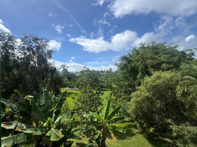 Lot-1 ESTANCIAS DE BEATRIZ DEV., BEATRIZ WARD, Cayey, PR 00736
