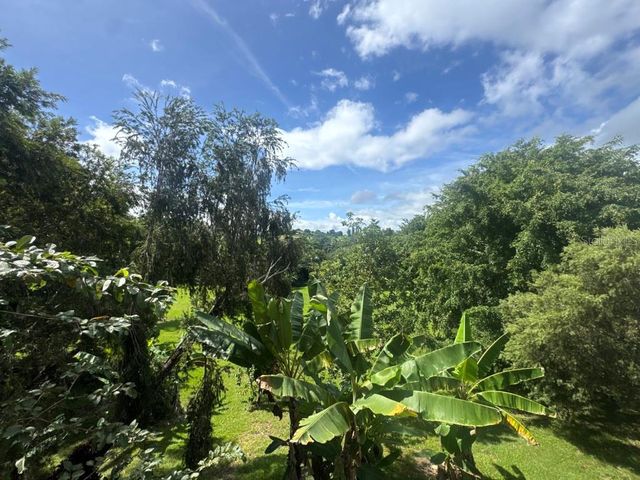 Lot-1 ESTANCIAS DE BEATRIZ DEV., BEATRIZ WARD, Cayey, PR 00736