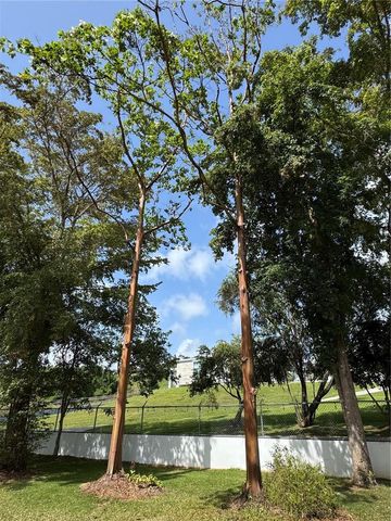 Lot-1 ESTANCIAS DE BEATRIZ DEV., BEATRIZ WARD, Cayey, PR 00736