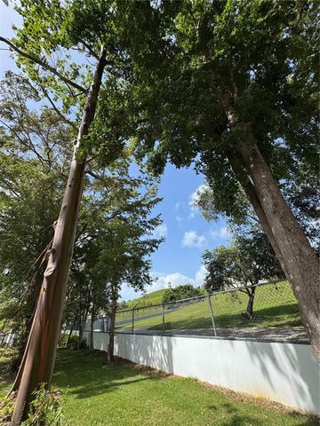 Lot-1 ESTANCIAS DE BEATRIZ DEV., BEATRIZ WARD, Cayey, PR 00736