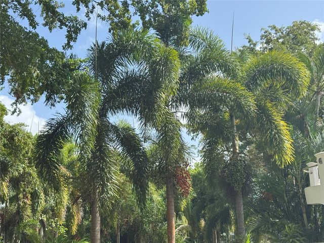 Lot-1 ESTANCIAS DE BEATRIZ DEV., BEATRIZ WARD, Cayey, PR 00736