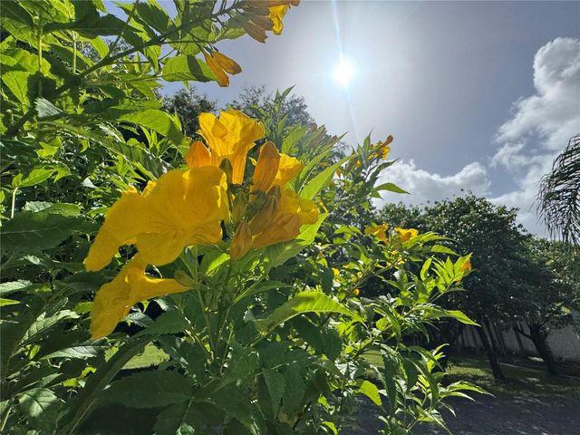 Lot-1 ESTANCIAS DE BEATRIZ DEV., BEATRIZ WARD, Cayey, PR 00736