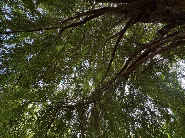 Lot-1 ESTANCIAS DE BEATRIZ DEV., BEATRIZ WARD, Cayey, PR 00736