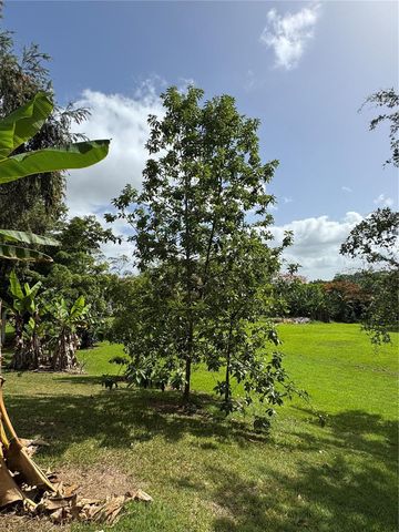 Lot-1 ESTANCIAS DE BEATRIZ DEV., BEATRIZ WARD, Cayey, PR 00736