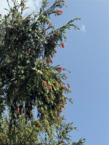 Lot-1 ESTANCIAS DE BEATRIZ DEV., BEATRIZ WARD, Cayey, PR 00736