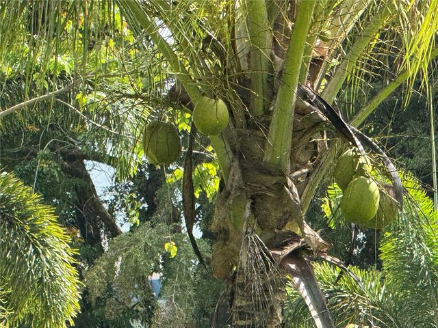 Lot-1 ESTANCIAS DE BEATRIZ DEV., BEATRIZ WARD, Cayey, PR 00736