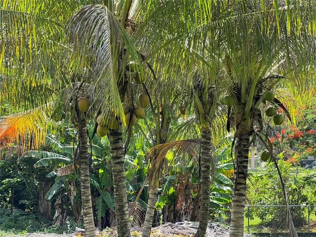 Lot-1 ESTANCIAS DE BEATRIZ DEV., BEATRIZ WARD, Cayey, PR 00736